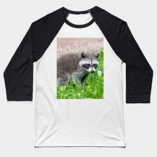 Baby raccoon in a green yard Baseball T-Shirt